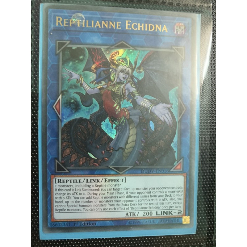 bài yugioh: reptiniane echidna