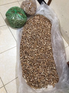 Củ ba kích đã làm sạch bỏ lõi
