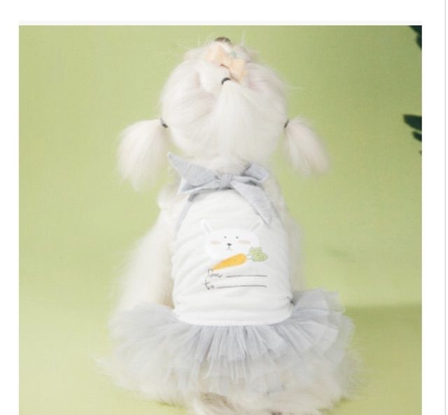 Váy 2 dây xòe chân ren cho thú cưng