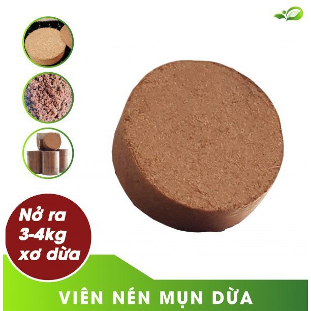 (1 Bánh lớn) Viên nén mụn xơ dừa, đất xơ dừa nén viên dùng trồng rau, trộn đất trồng cây