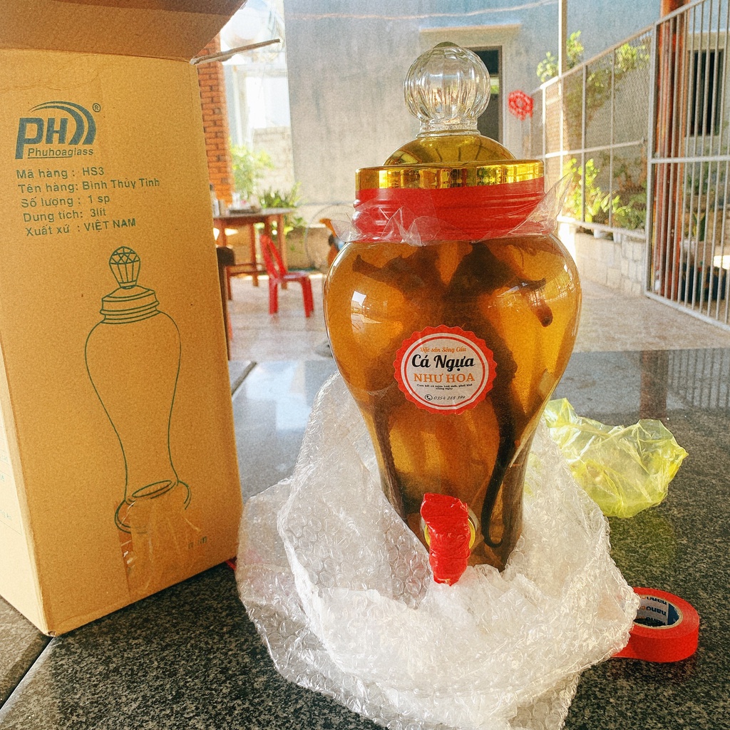 Cá ngựa bình 3 lít