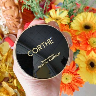 PHẤN NƯỚC COTHER