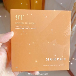 Bảng phấn mắt morphe 9t territory neutral