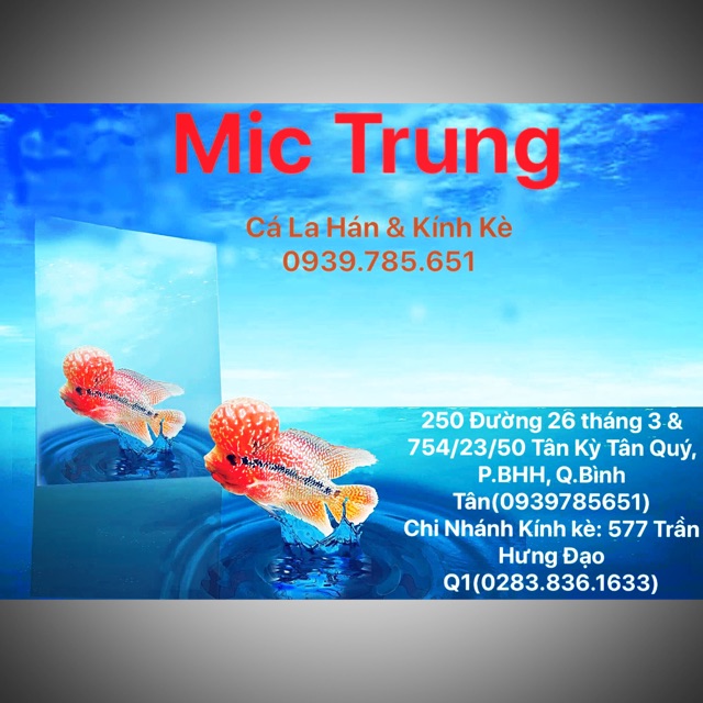 KINHKETHUCUNG