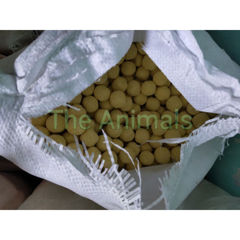 Sứ bi vàng lọc nước cho hồ cá - Lọc tràn- Vật liệu lọc