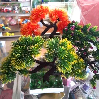 Cây giả cây bon sai cây trang trí bể cá để bàn