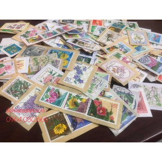 Bộ tem chủ đề loài hoa của Nhật Bản 50 con tem khác nhau