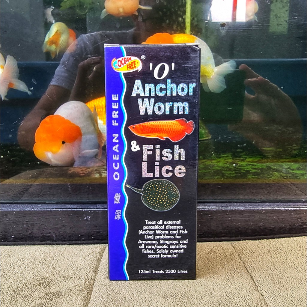 Anchor Worm &amp; Fish Lice | Chai số 0 Cá rồng diệt trùng mỏ neo và rận nước