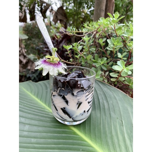 CÂY THẠCH ĐEN CAO BẰNG 500g