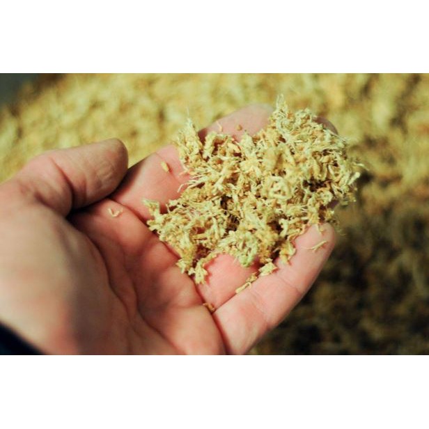 DỚN THÁI LAN - 10Gr/ gói