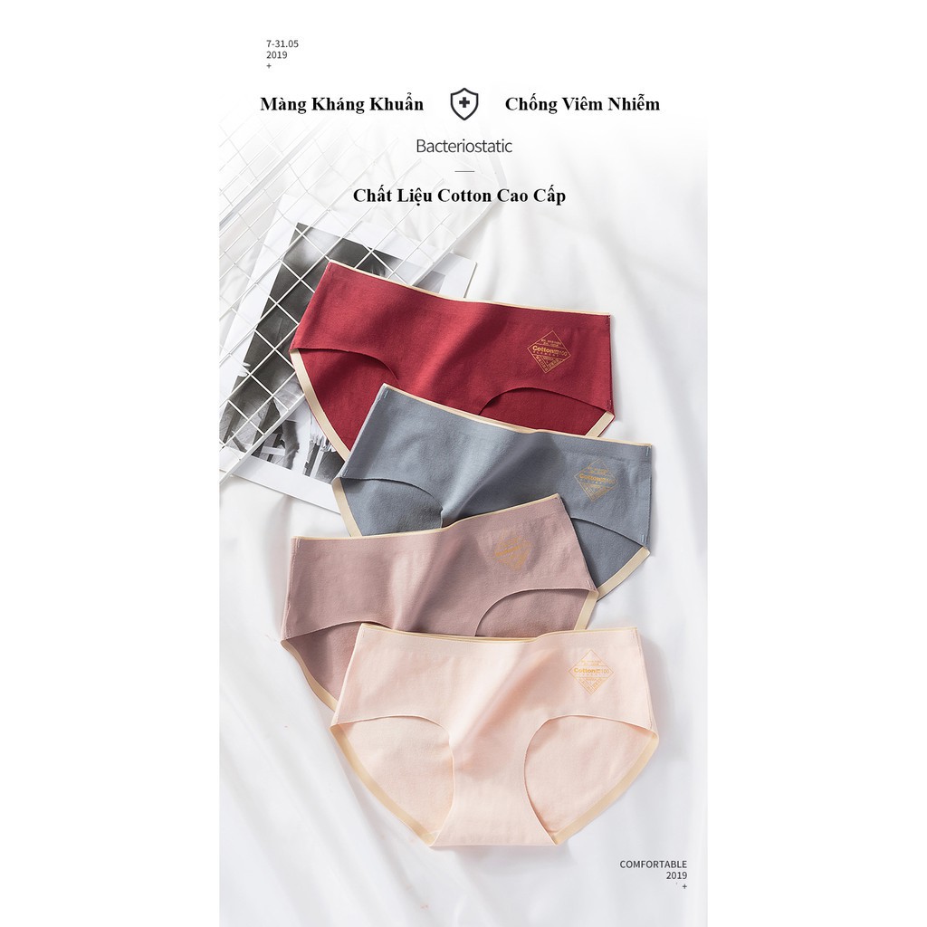 [Được Chọn Màu] Quần Lót Nữ, quần mặc trong váy Cotton co dãn mềm mịn thoáng mát (size L,XL) CT08 | BigBuy360 - bigbuy360.vn