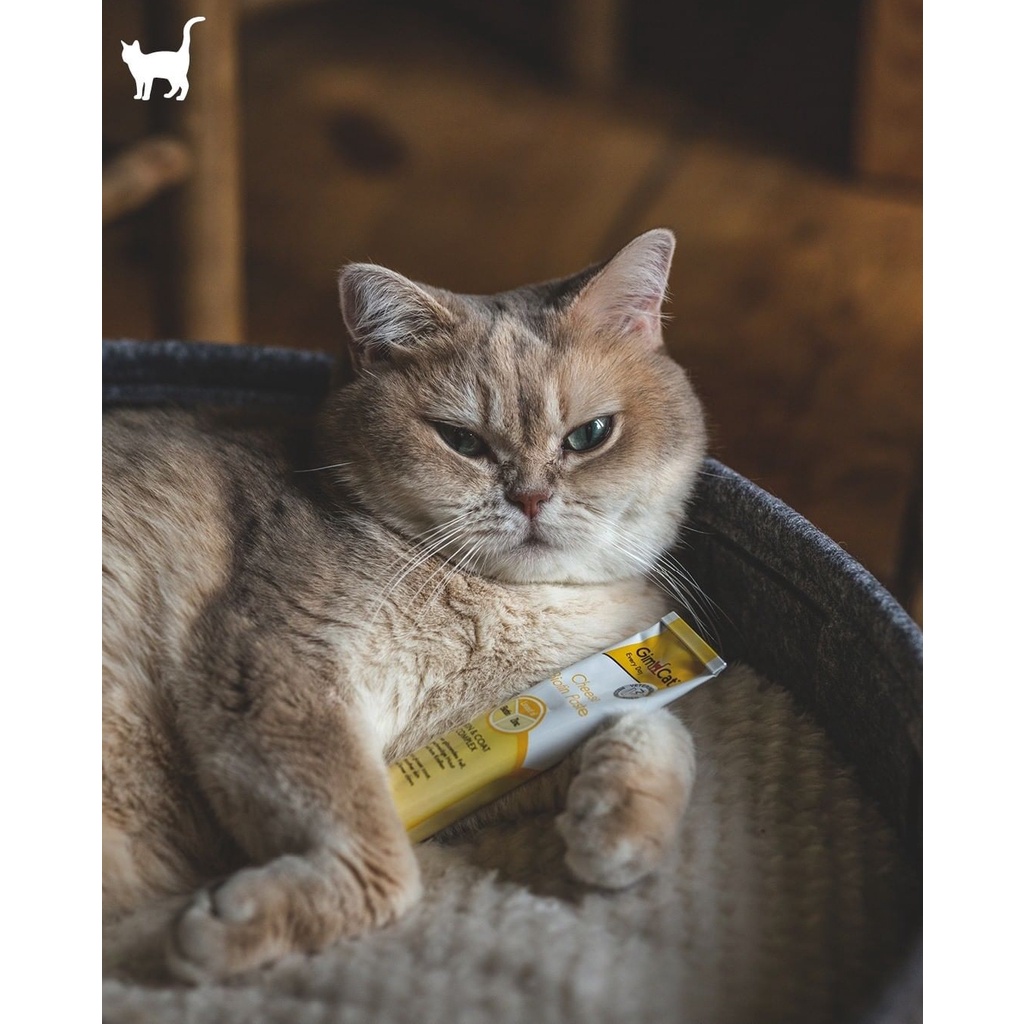 GIMCAT CHEESE BIOTIN Gel dinh dưỡng mượt lông giảm rụng vị phô mai cho mèo