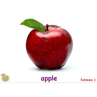 flashcard let's go starter phiên bản 3