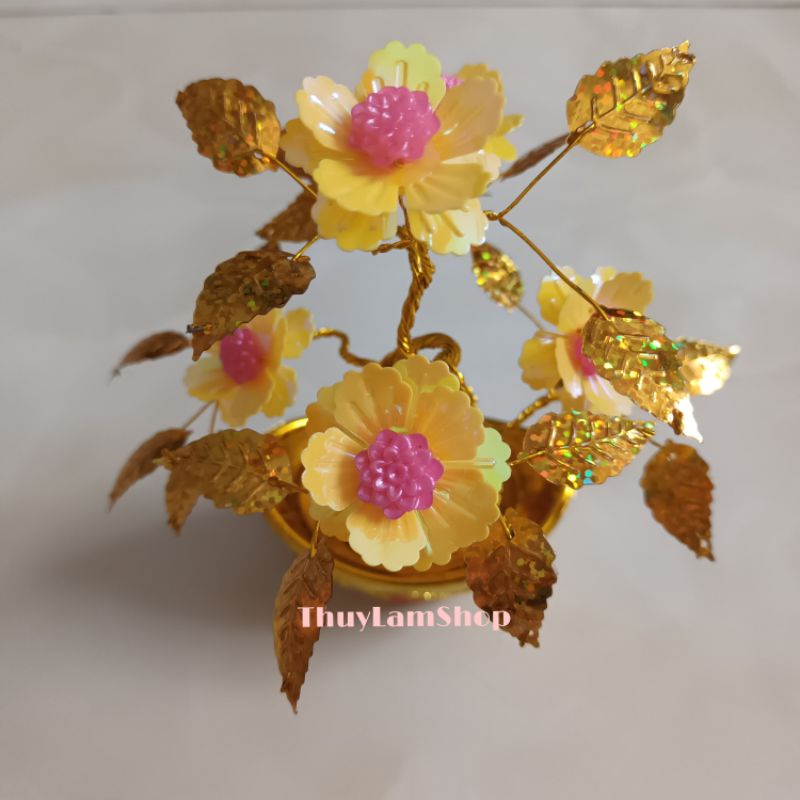 Cây cành vàng lá ngọc mini nhỏ xinh xinh để bàn thu hút tài lộc