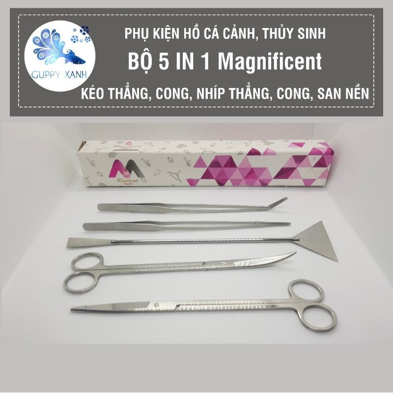 Bộ 5 dụng cụ thủy sinh - Hàng inox cao cấp gồm dao cạo , kéo cong , nhíp cong ...
