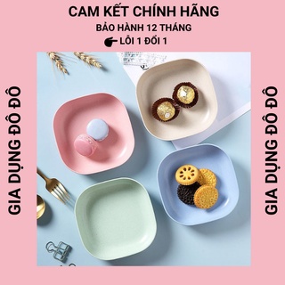 Đĩa Nhựa Lúa Mạch Tone Màu Pastel