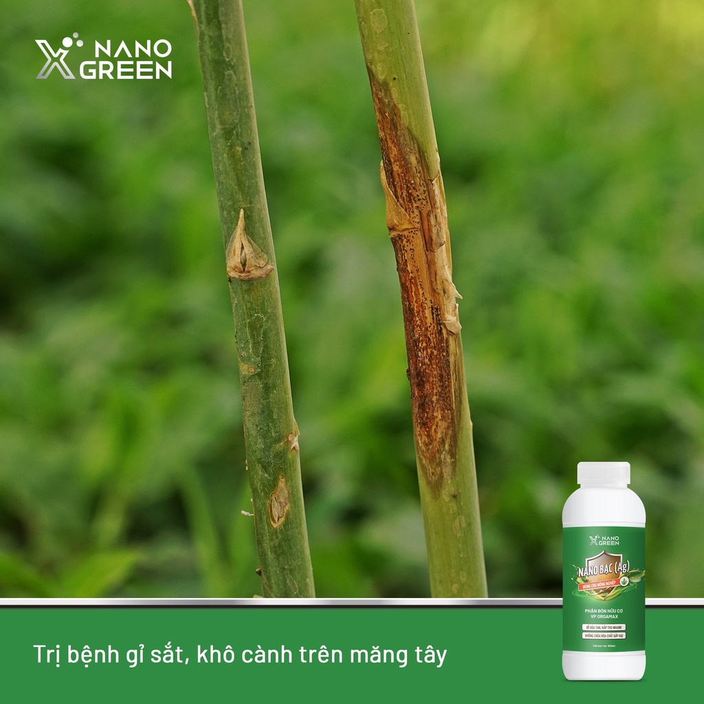 Nano bạc Nano Xgreen cung cấp dưỡng chất, tăng đề khoáng, hỗ trợ cho cây có triệu chứng vàng lá, thối rễ (combo 1L)
