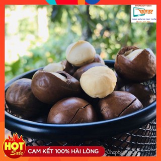 [HÀNG VIP] 500G Hạt Mắc ca Đắk Lắk - Macca ❋SIZE TO❋ Qủa Mac ca