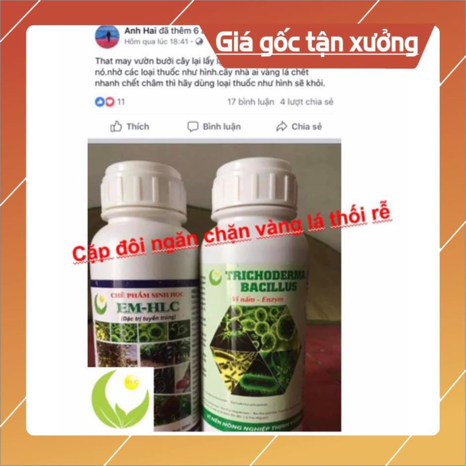 CHẾ PHẨM EM HLC ĐẶC TRỊ TUYẾN TRÙNG - THUỐC ĐẶC TRỊ VÀNG LÁ THỐI RỄ, PHÒNG TRỪ TUYẾN TRÙNG RỄ HẠI CÂY TRỒNG - CHAI 500ML