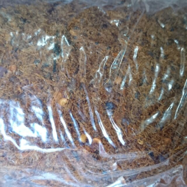 Khô bò sả vụn xay