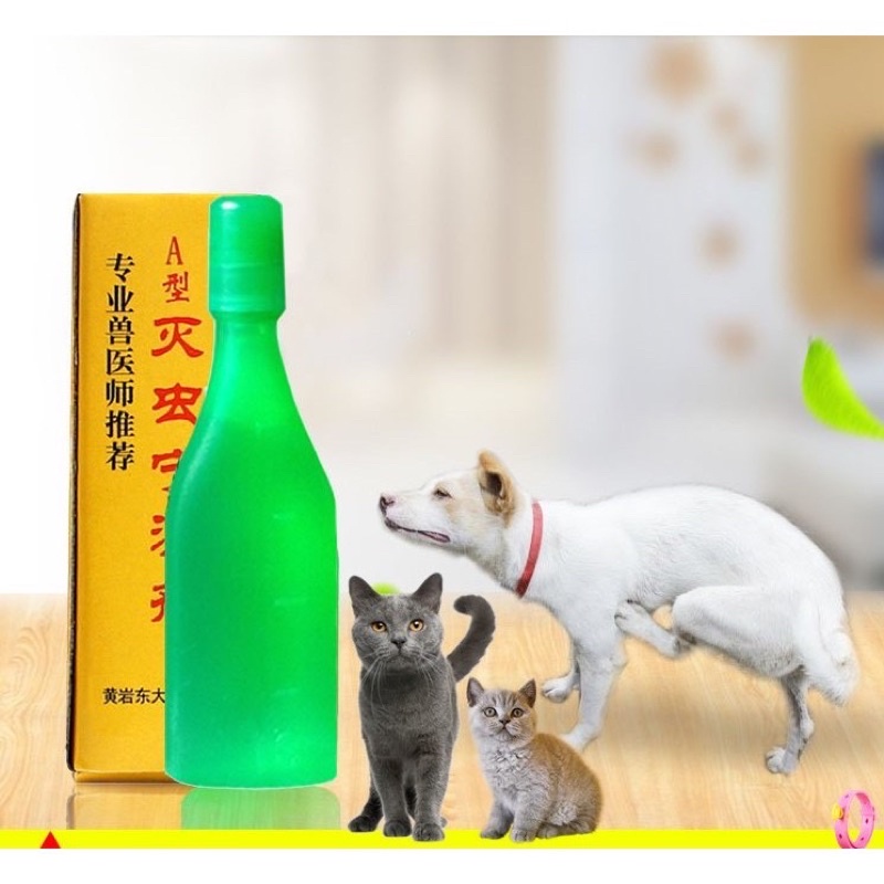Nhỏ gáy ve rận bọ chét trên chó mèo an toàn