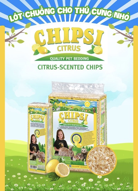 Lót chuồng cho thú cưng nhỏ Chipsi (Hamster, chuột, thỏ,...) (Mùn cưa lót chuồng)