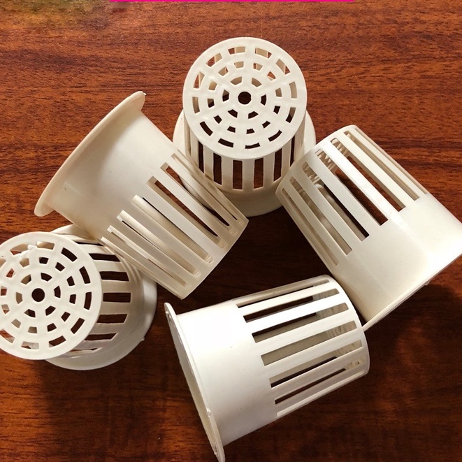 Rọ nhựa trồng rau thủy canh 65 x 65mm