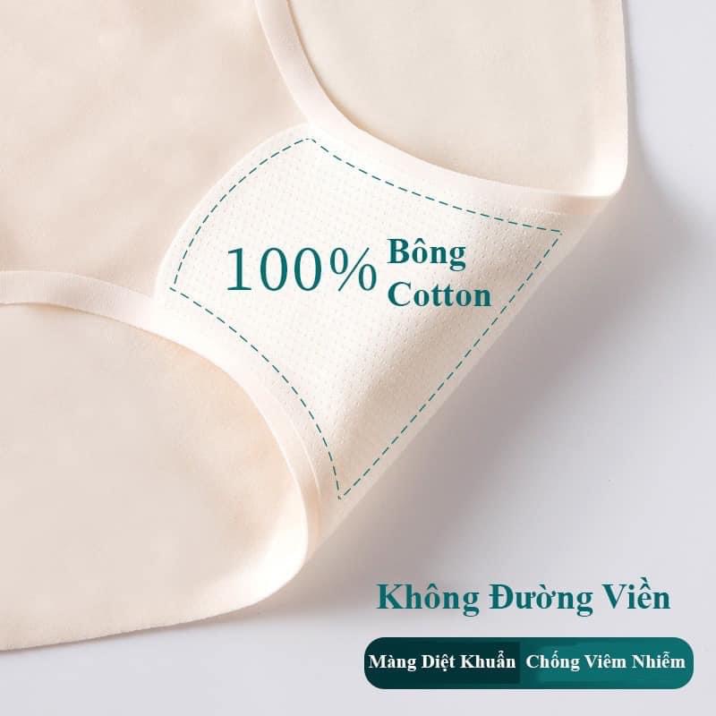 Quần Lót Su Cạp Cao CARLA Gen Chiết Eo Chống Cuộn Định Hình Bụng 887