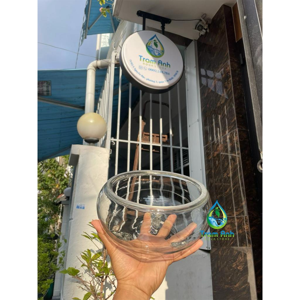 (CHỈ GIAO HỎA TỐC ) Bể thủy tinh tròn - hồ cá bầu tròn - siêu trong hàng nhập - terrarium - tiểu cảnh để bàn