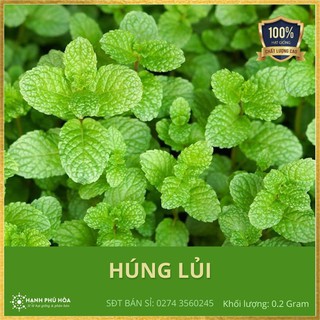 Hạt giống Húng Lủi Rado931 0.2g/Gói - Tỉ Lệ Nảy Mầm Cao, Thu Hoạch Quanh Năm, Ăn Ngon Ngọt, Tốt Cho Sức Khỏe