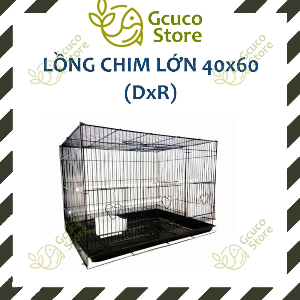 LỒNG CHIM LỚN 40x60 (DxR) nuôi: vẹt, chào mào. chim cảnh, sóc... đủ phụ kiện (2 cóng ăn, 1 cầu đứng) (màu ngẫu nhiên)
