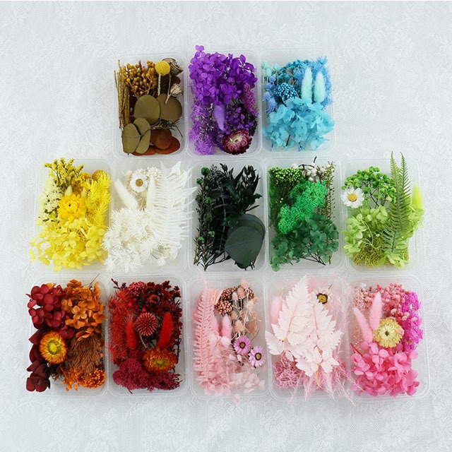 Hoa khô từng loại làm nguyên liệu handmate, trang trí epoxy resin