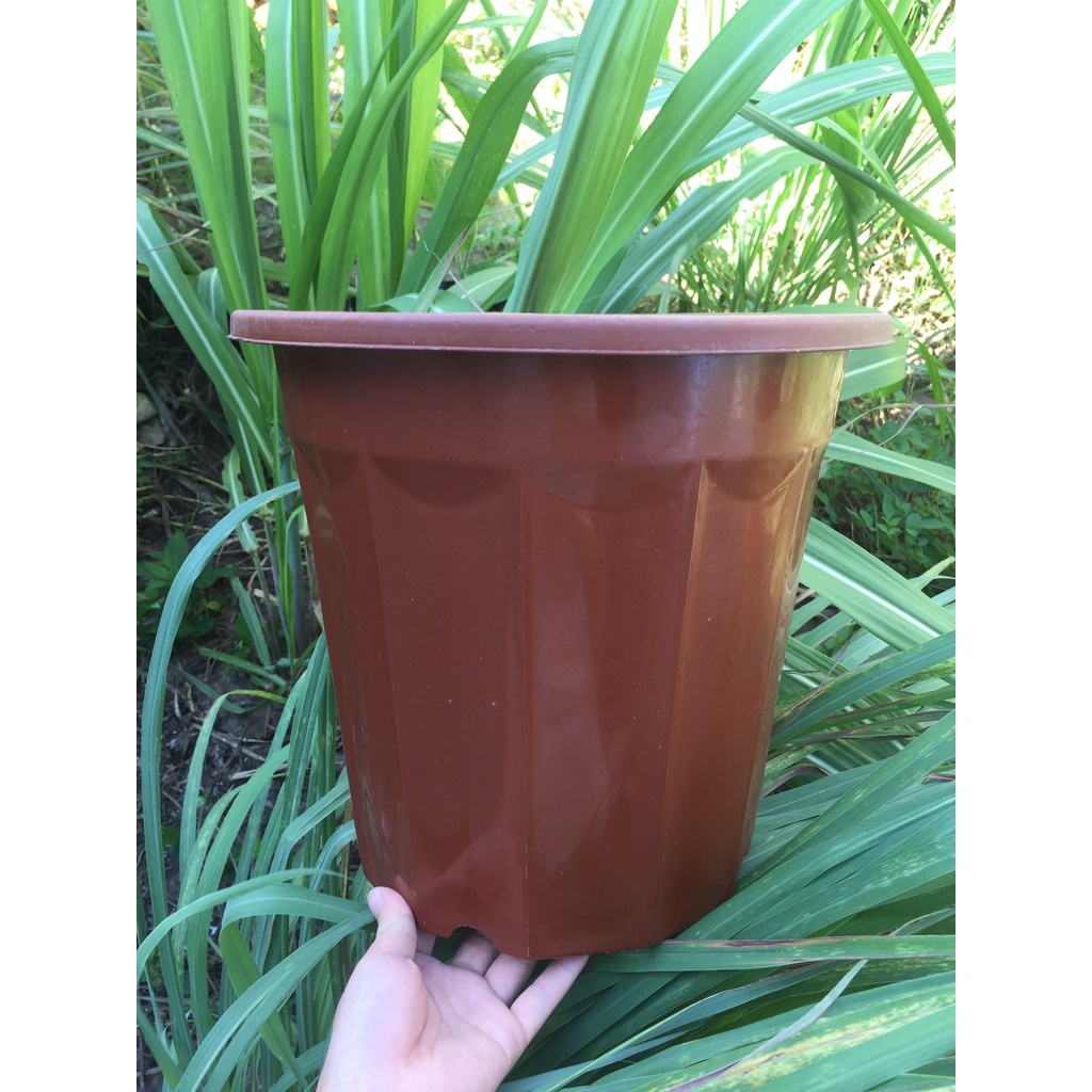 15 CHẬU NHỰA TRỒNG CÂY MÃ #E350 (BẠT PHỦ ĐẤT CHỐNG CỎ MỌC, BẦU KHAY TÚI ƯƠM...)