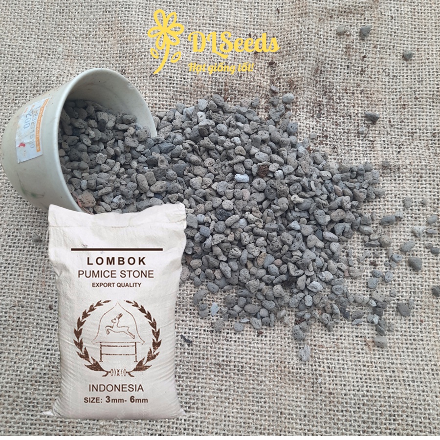Đá Pumice indo size 3-6mm, đá trồng cây sen đá, kiểng lá,gói 1 lít