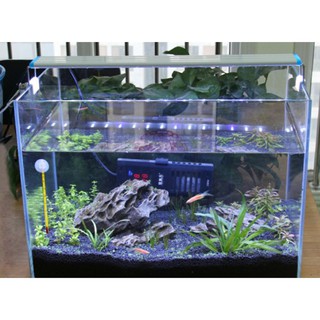 Đèn bể cá mini ms20 dành cho hồ cá kích thước từ 20 cm phù hợp thủy sinh - ảnh sản phẩm 6