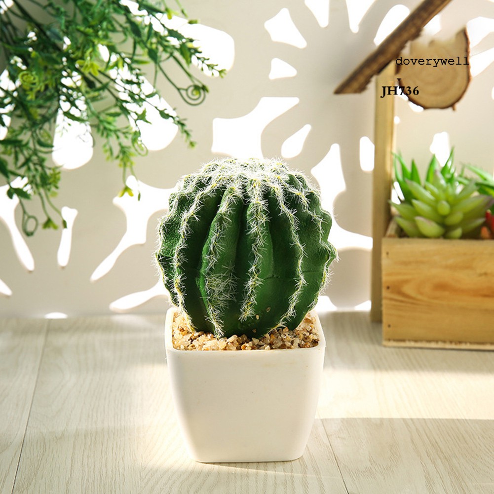 Cây xương rồng giả trang trí mini