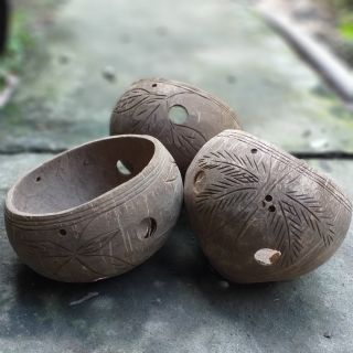 Gáo dừa trồng lan có hoa văn các kiểu bắt mắt. Khách có thể yêu cầu khoan lổ nhỏ để trồng hoa và cây cảnh, gắn thêm đế .