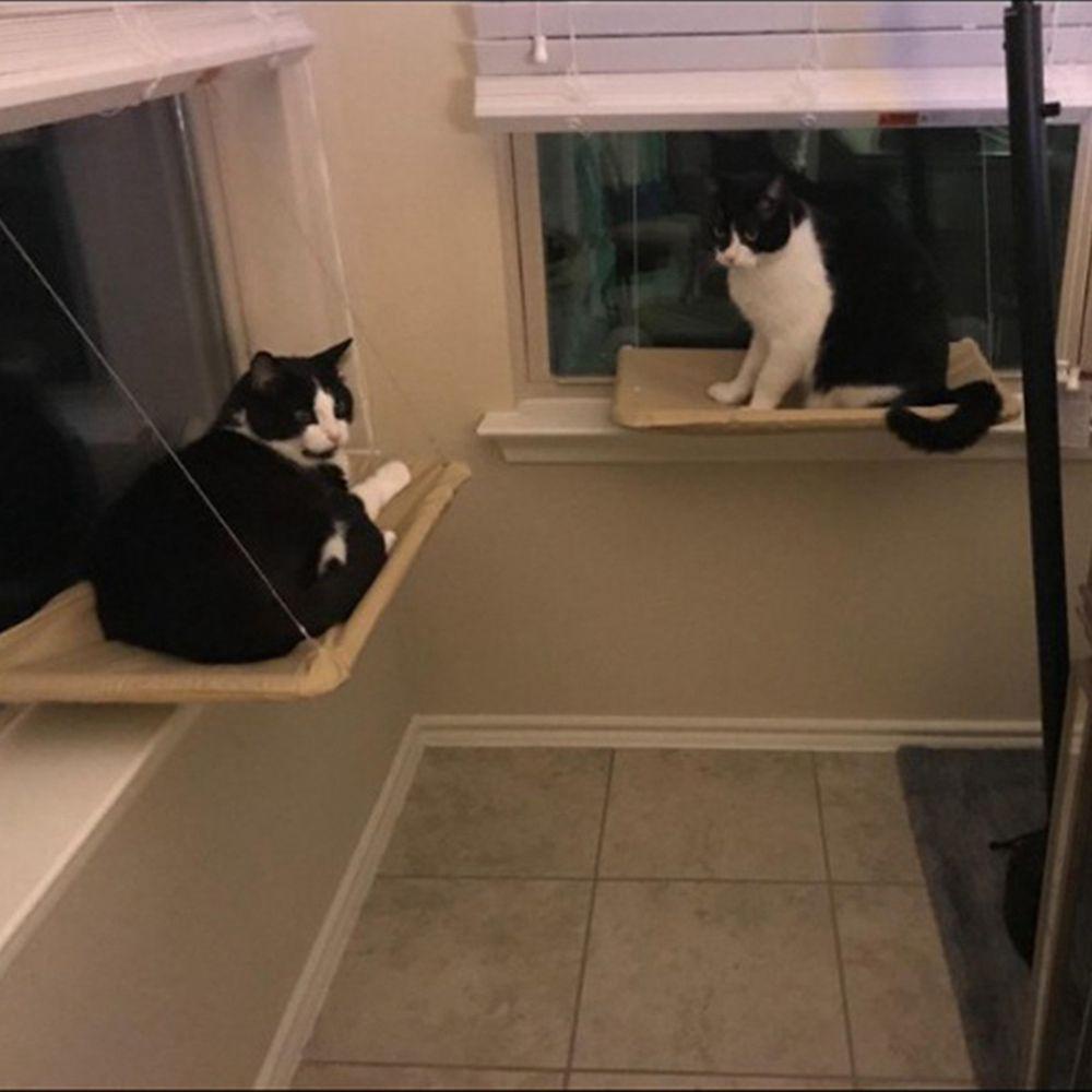 1 Giường Ngủ Dạng Treo Thoải Mái Tiết Kiệm Không Gian Cho Mèo