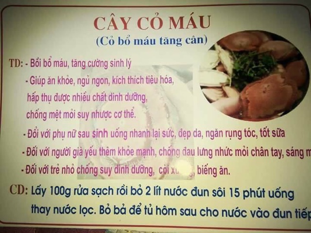 Thuốc bổ máu cho mẹ sau sinh hay người thiếu máu.