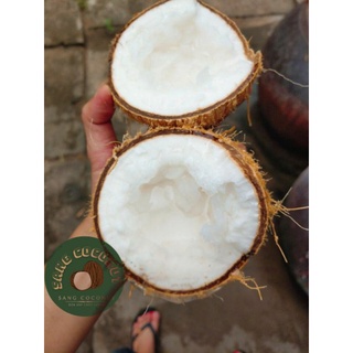 Dừa Sáp Loại 1 nhiều thịt ( đặc sản trà Vinh)