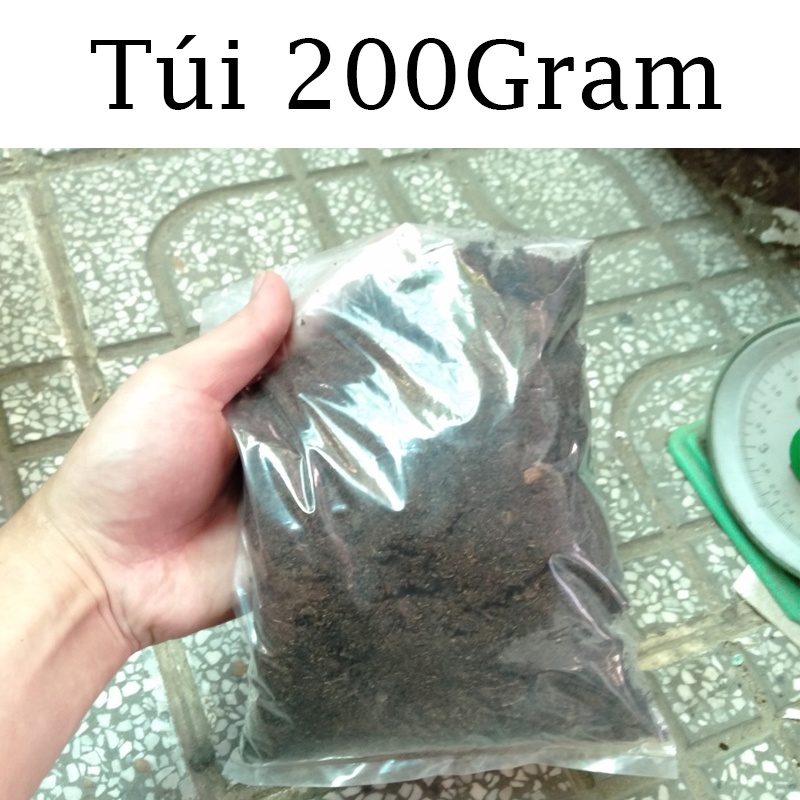 Peat moss -Rêu Than Bùn - Peatman (túi 200gram)