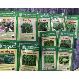 Hạt giống các loại rau thơm-Tía tô-ngò-hành lá-kinh giới-thì là-ngò gai-bạc hà-húng quế