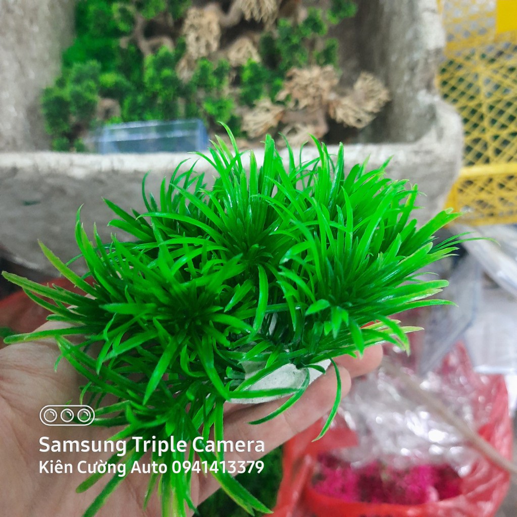 Mô hình trang trí cây nhựa cho bể cá cảnh, bể cá cao cấp