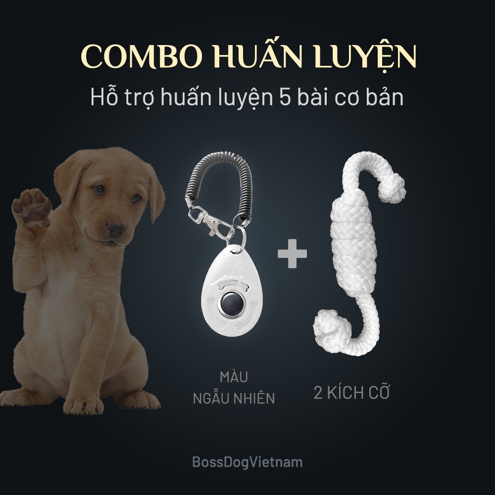 COMBO huấn luyện 5 bài cơ bản | BossDog