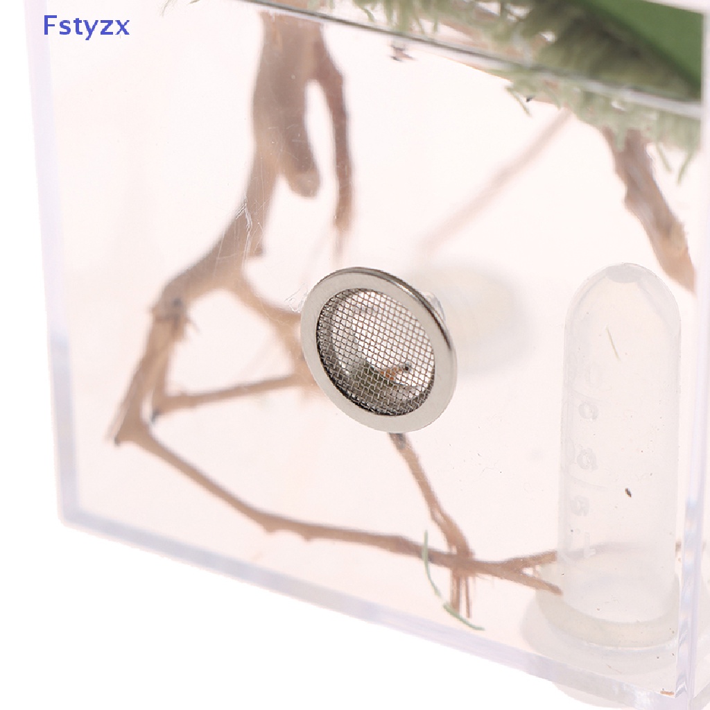 Fstyzx Hộp Nuôi Bò Sát / Côn Trùng Nhỏ Trong Suốt
