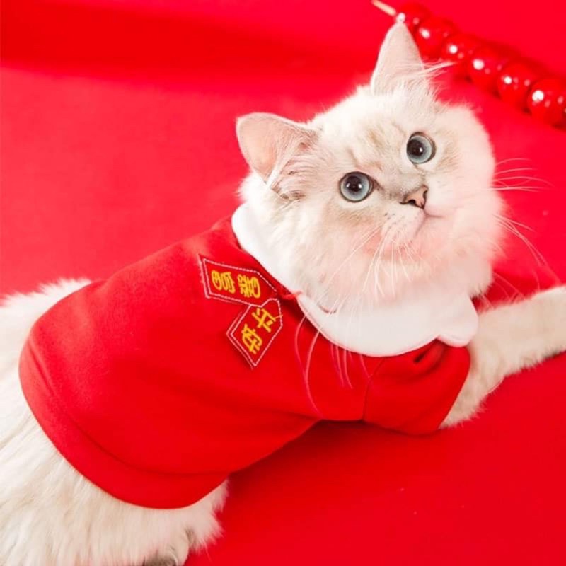 Áo nỉ lót bông Tết mèo thần tài cho cún miu
