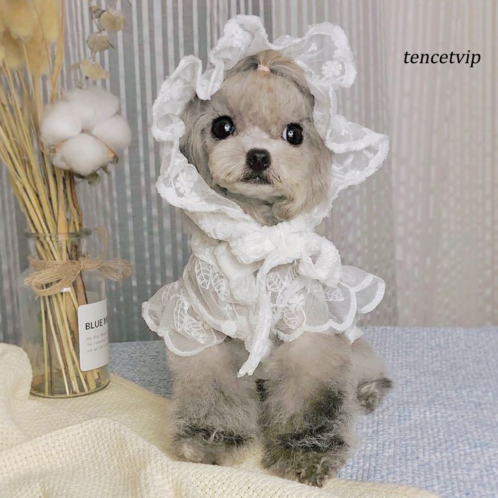 Mũ Tròn Thoáng Khí Cho Thú Cưng
