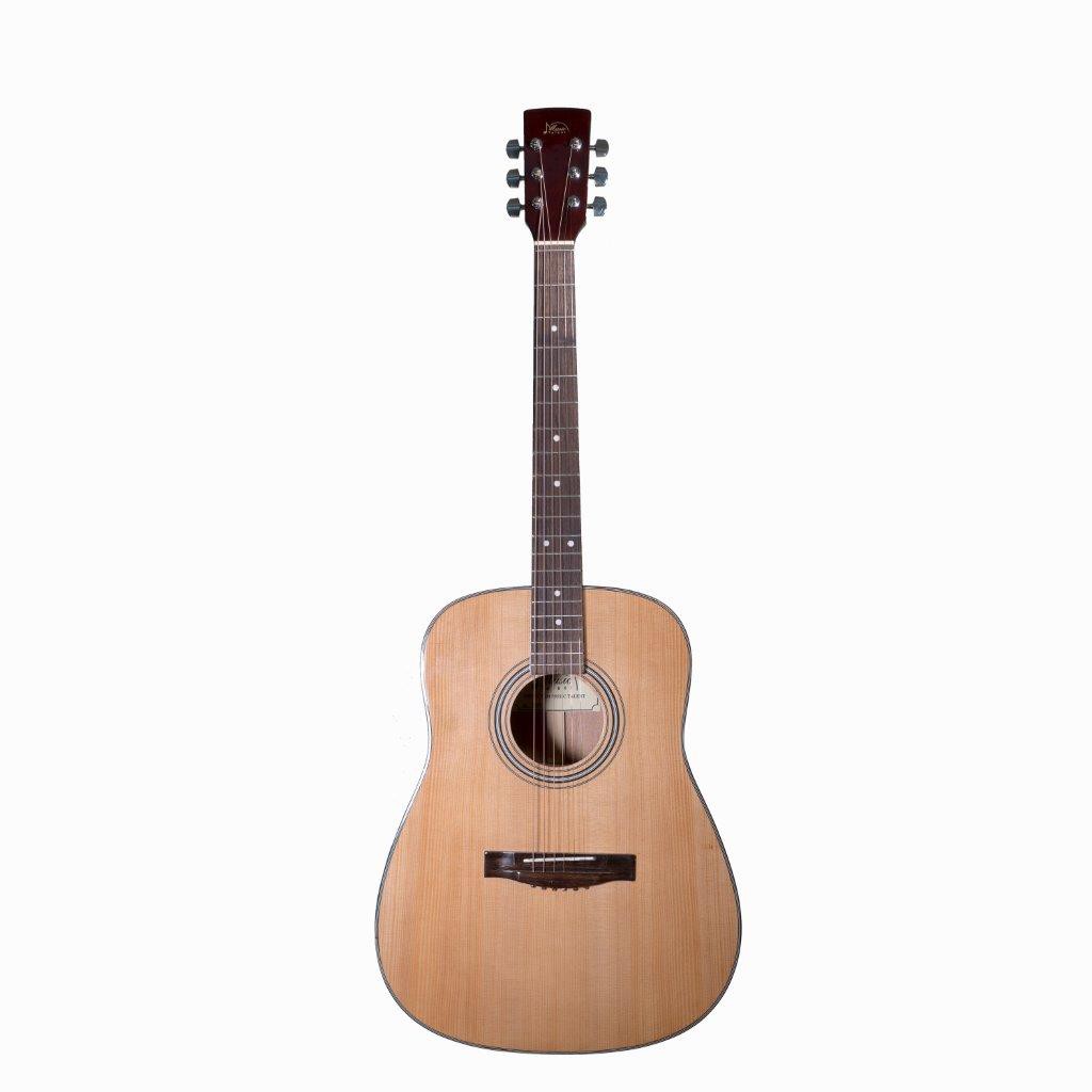 Đàn Acoustic Guitar D100