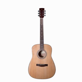 Đàn Acoustic Guitar D100