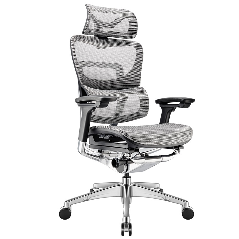 Ghế Công Thái Học Ergonomic Ergoup Fly Pro Xám